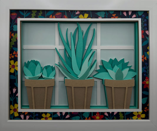 Succulents in Pots
