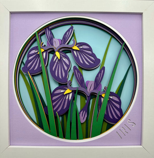 Iris